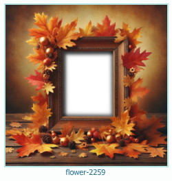 flower photo frame 2259