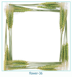 flower Photo frame 36