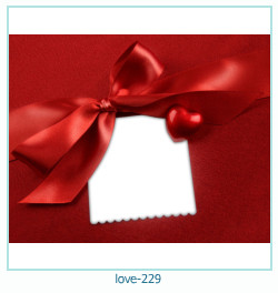 love Photo frame 229